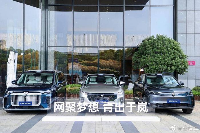 开云娱乐-网聚梦想 青出于岚 岚图汽车青少年网球冠军公益计划正式启动