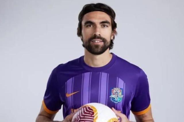 1709225629811039799.jpg 开云娱乐-【2024中超巡礼之津门虎】大换血后渴望能再创佳绩